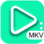 MKV 플레이어 – MKV Player